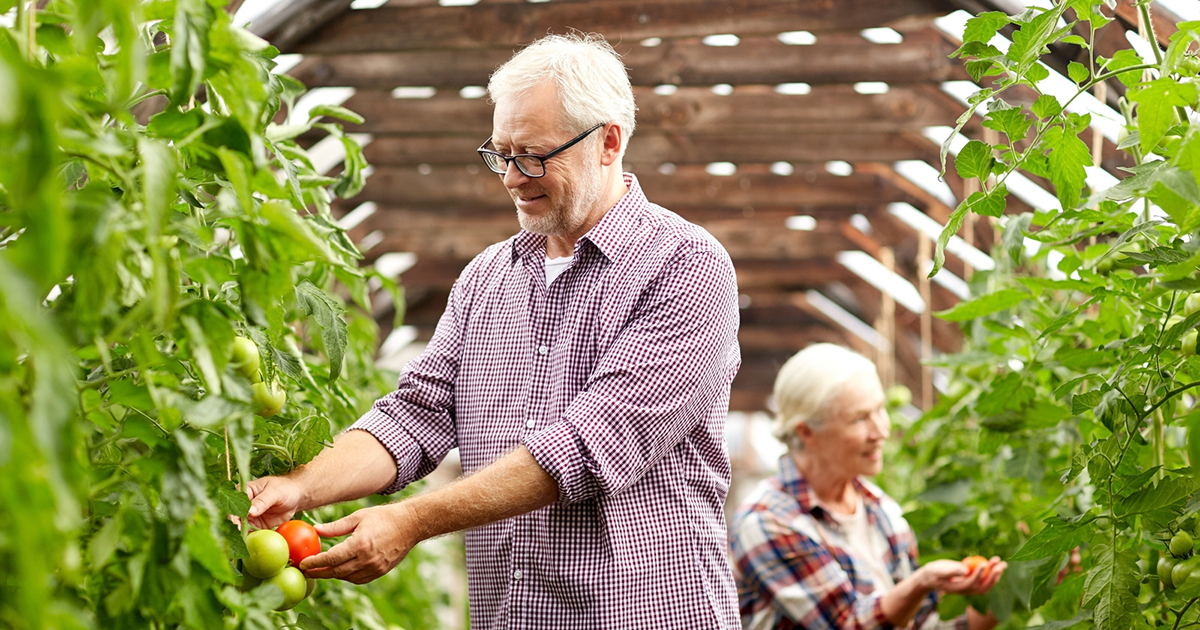 Pick Your Own Farms in Texas