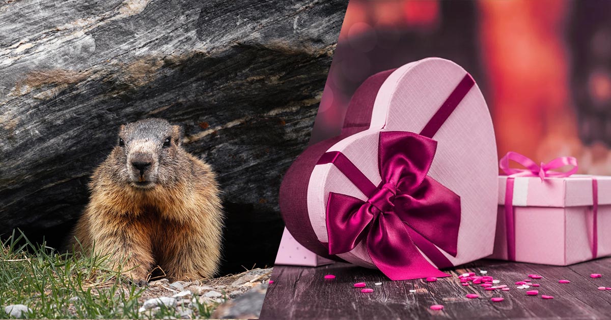 February Holidays: Groundhog Day, Valentine’s Day, and Leap Day